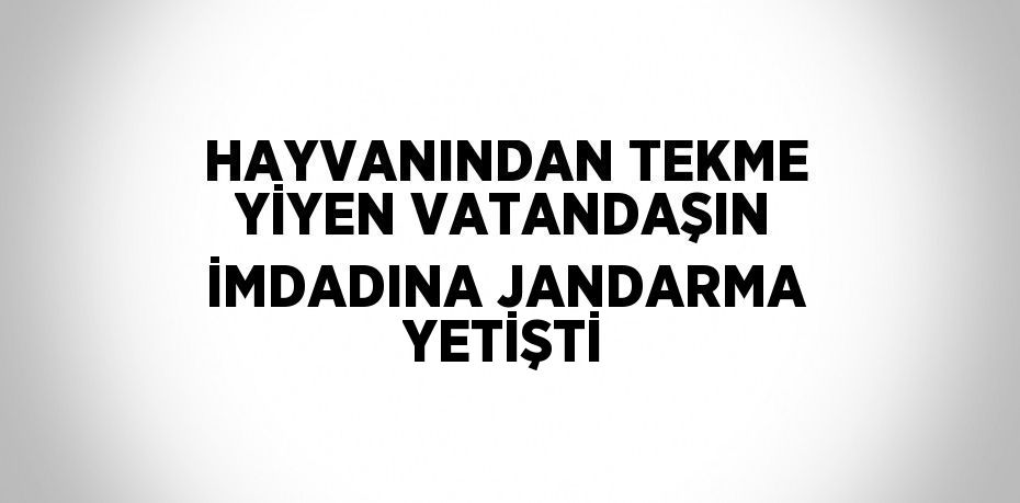 HAYVANINDAN TEKME YİYEN VATANDAŞIN İMDADINA JANDARMA YETİŞTİ