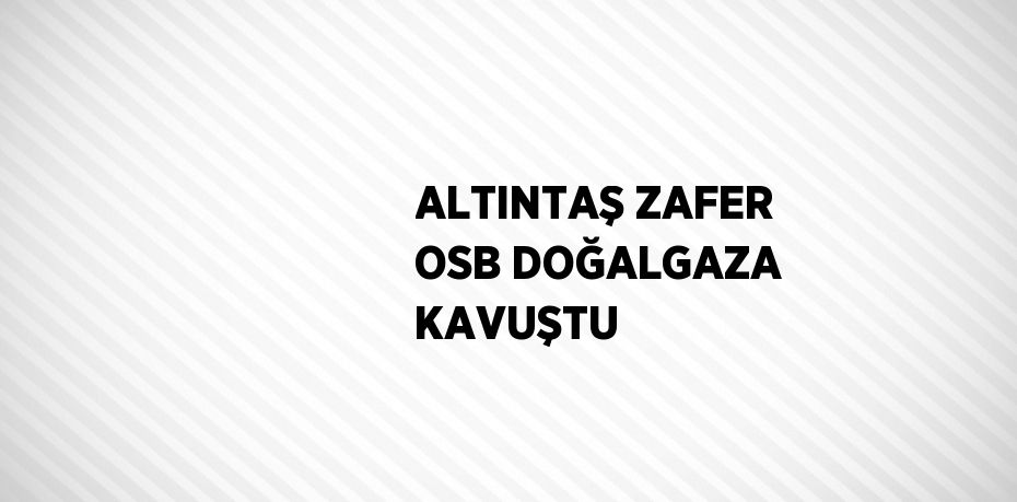 ALTINTAŞ ZAFER OSB DOĞALGAZA KAVUŞTU