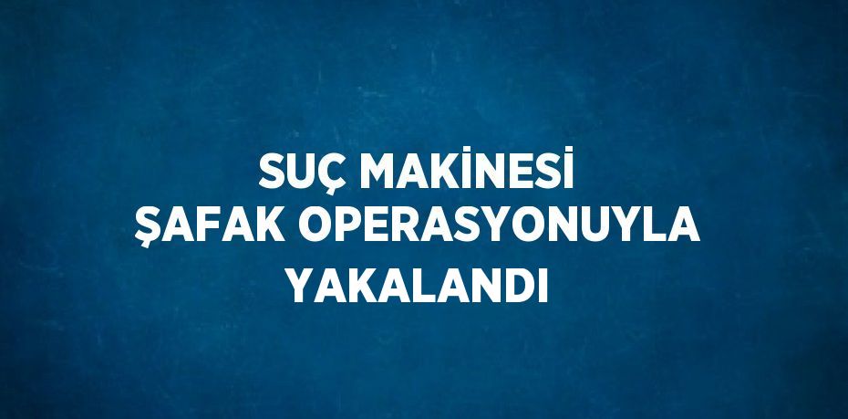 SUÇ MAKİNESİ ŞAFAK OPERASYONUYLA YAKALANDI