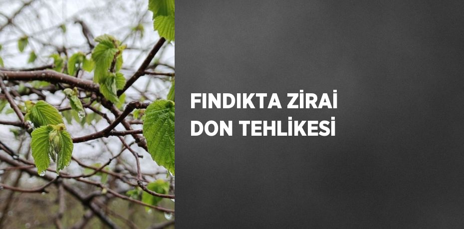 FINDIKTA ZİRAİ DON TEHLİKESİ