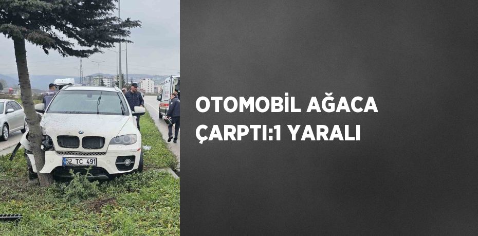 OTOMOBİL AĞACA ÇARPTI:1 YARALI