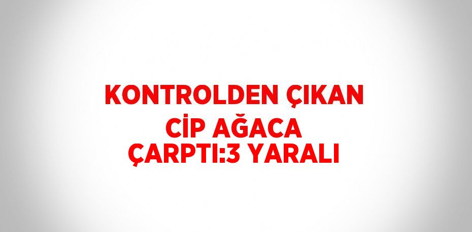 KONTROLDEN ÇIKAN CİP AĞACA ÇARPTI:3 YARALI