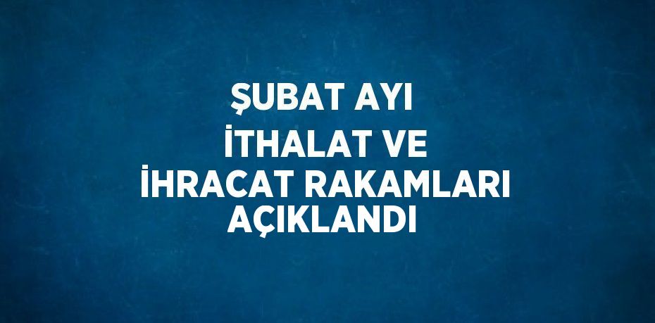 ŞUBAT AYI İTHALAT VE İHRACAT RAKAMLARI AÇIKLANDI