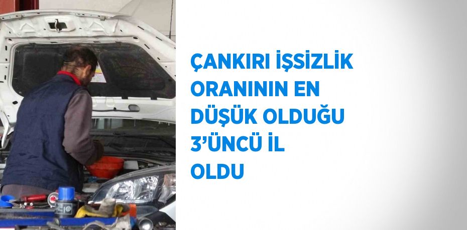 ÇANKIRI İŞSİZLİK ORANININ EN DÜŞÜK OLDUĞU 3’ÜNCÜ İL OLDU