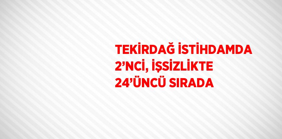 TEKİRDAĞ İSTİHDAMDA 2’NCİ, İŞSİZLİKTE 24’ÜNCÜ SIRADA