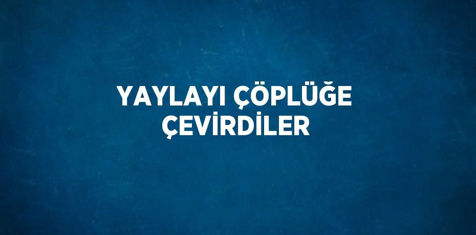 YAYLAYI ÇÖPLÜĞE ÇEVİRDİLER