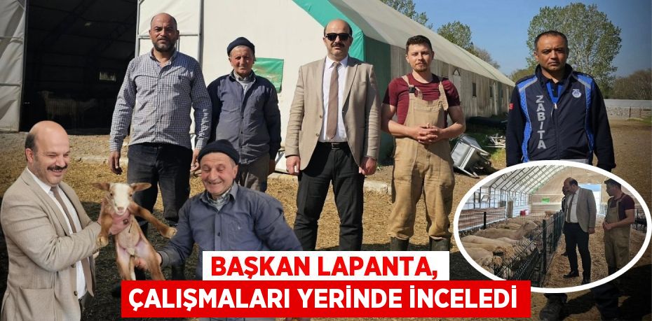 BAŞKAN LAPANTA, ÇALIŞMALARI YERİNDE İNCELEDİ