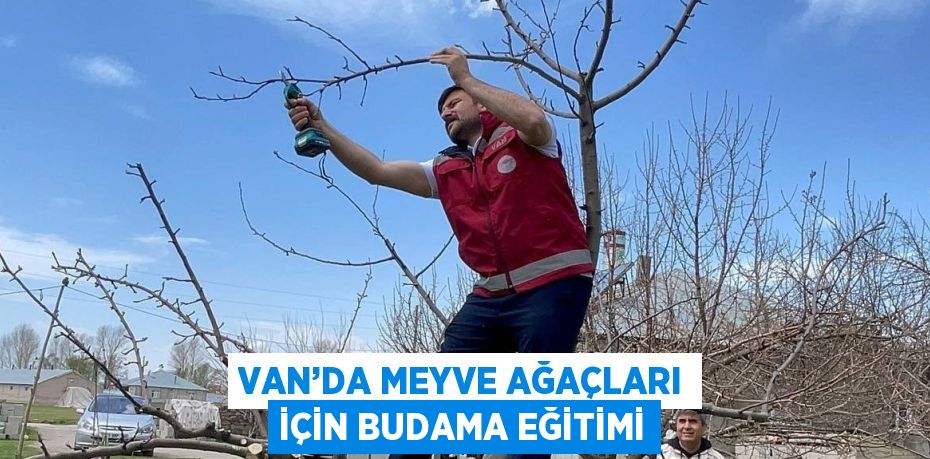 VAN’DA MEYVE AĞAÇLARI İÇİN BUDAMA EĞİTİMİ