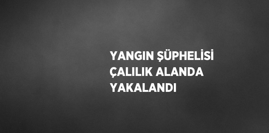 YANGIN ŞÜPHELİSİ ÇALILIK ALANDA YAKALANDI
