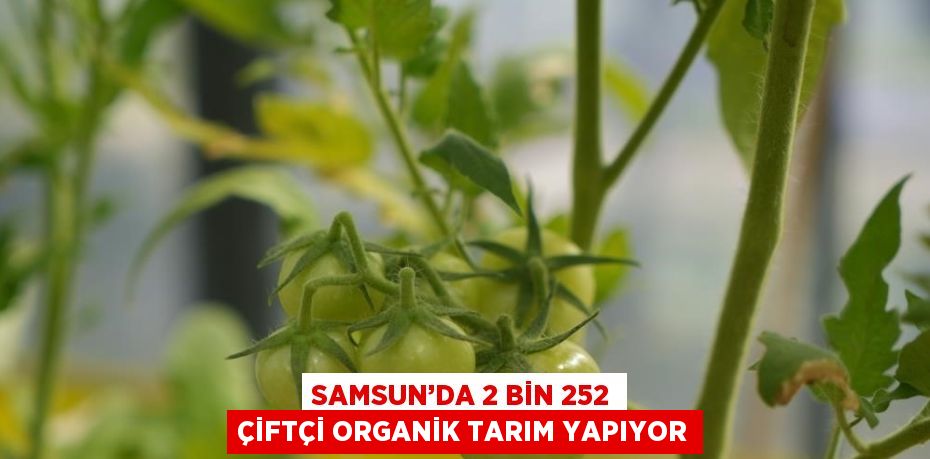 SAMSUN’DA 2 BİN 252 ÇİFTÇİ ORGANİK TARIM YAPIYOR