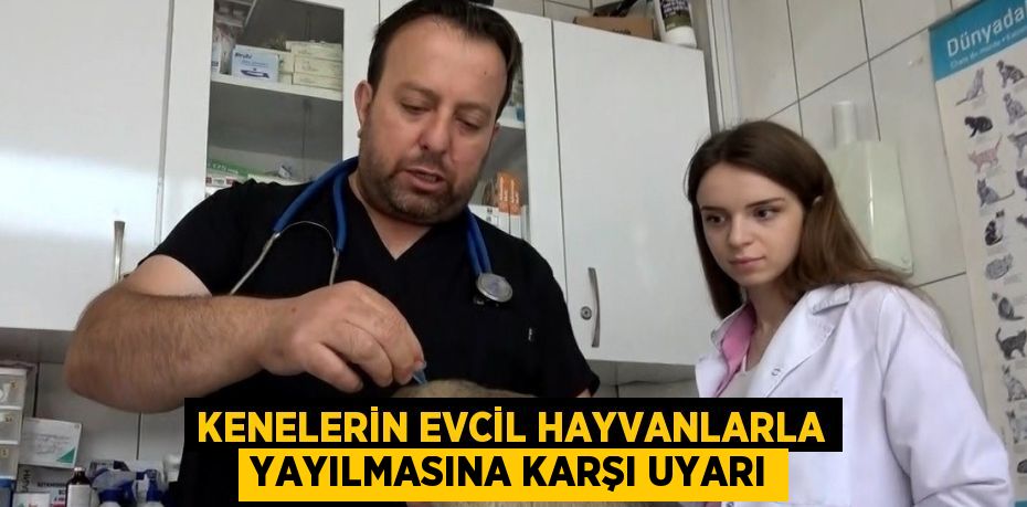 KENELERİN EVCİL HAYVANLARLA YAYILMASINA KARŞI UYARI