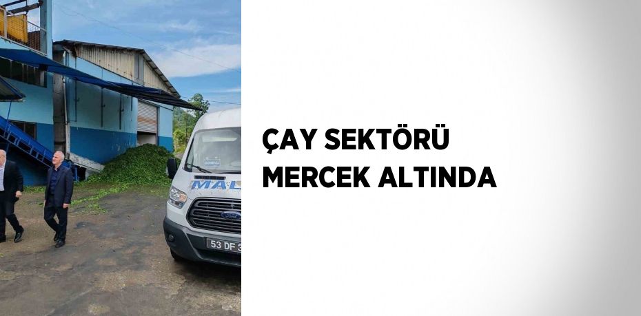 ÇAY SEKTÖRÜ MERCEK ALTINDA