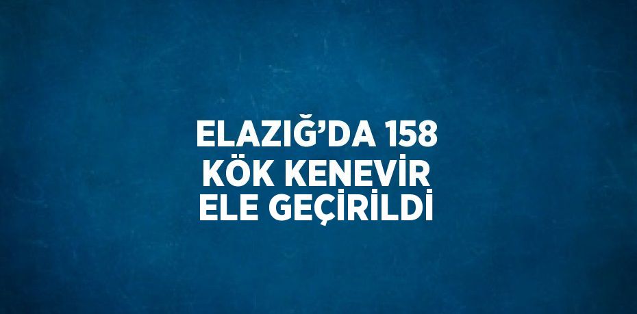 ELAZIĞ’DA 158 KÖK KENEVİR ELE GEÇİRİLDİ