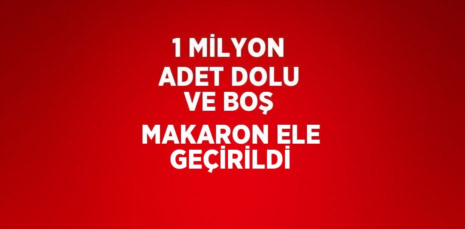 1 MİLYON ADET DOLU VE BOŞ MAKARON ELE GEÇİRİLDİ