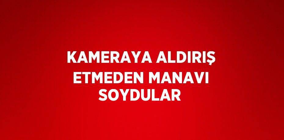 KAMERAYA ALDIRIŞ ETMEDEN MANAVI SOYDULAR