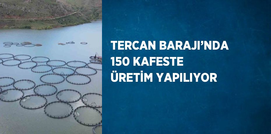 TERCAN BARAJI’NDA 150 KAFESTE ÜRETİM YAPILIYOR