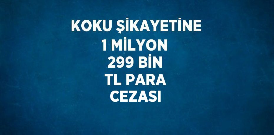 KOKU ŞİKAYETİNE 1 MİLYON 299 BİN TL PARA CEZASI