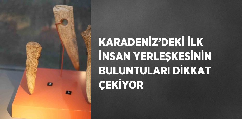 KARADENİZ’DEKİ İLK İNSAN YERLEŞKESİNİN BULUNTULARI DİKKAT ÇEKİYOR