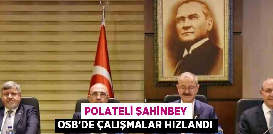 POLATELİ ŞAHİNBEY OSB’DE ÇALIŞMALAR HIZLANDI