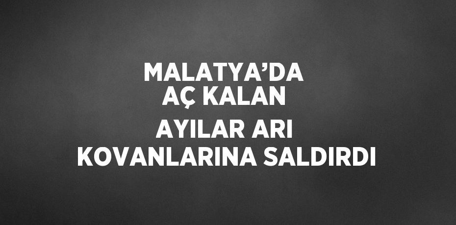 MALATYA’DA  AÇ KALAN AYILAR ARI KOVANLARINA SALDIRDI