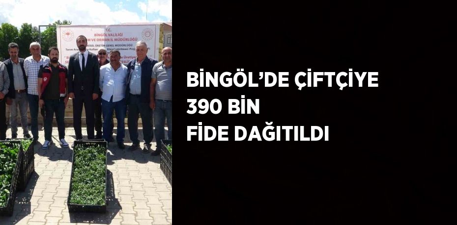 BİNGÖL’DE ÇİFTÇİYE 390 BİN FİDE DAĞITILDI