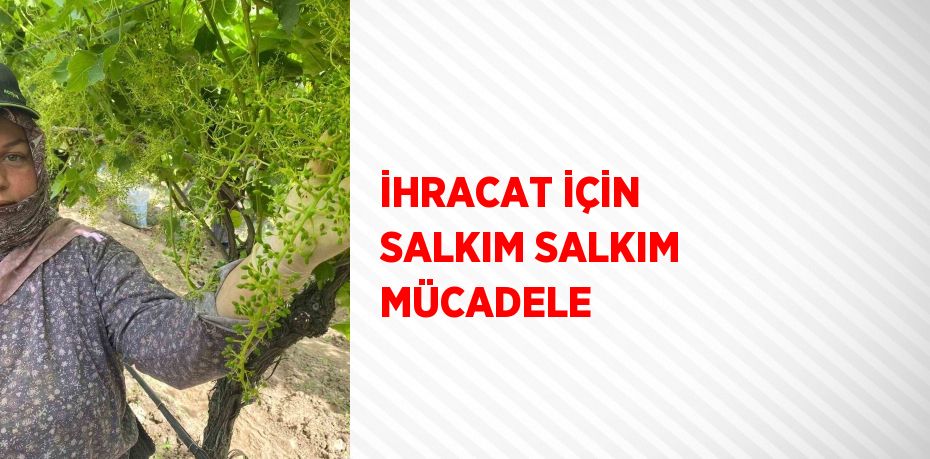 İHRACAT İÇİN SALKIM SALKIM MÜCADELE