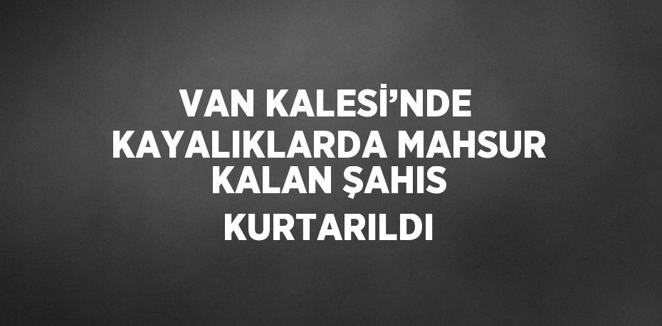 VAN KALESİ’NDE KAYALIKLARDA MAHSUR KALAN ŞAHIS KURTARILDI