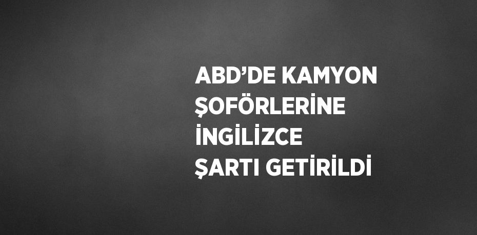 ABD’DE KAMYON ŞOFÖRLERİNE İNGİLİZCE ŞARTI GETİRİLDİ