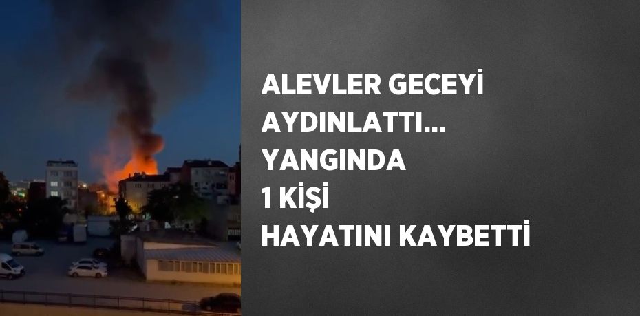 ALEVLER GECEYİ AYDINLATTI... YANGINDA 1 KİŞİ HAYATINI KAYBETTİ