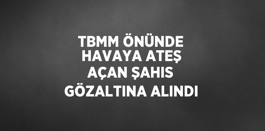 TBMM ÖNÜNDE HAVAYA ATEŞ AÇAN ŞAHIS GÖZALTINA ALINDI