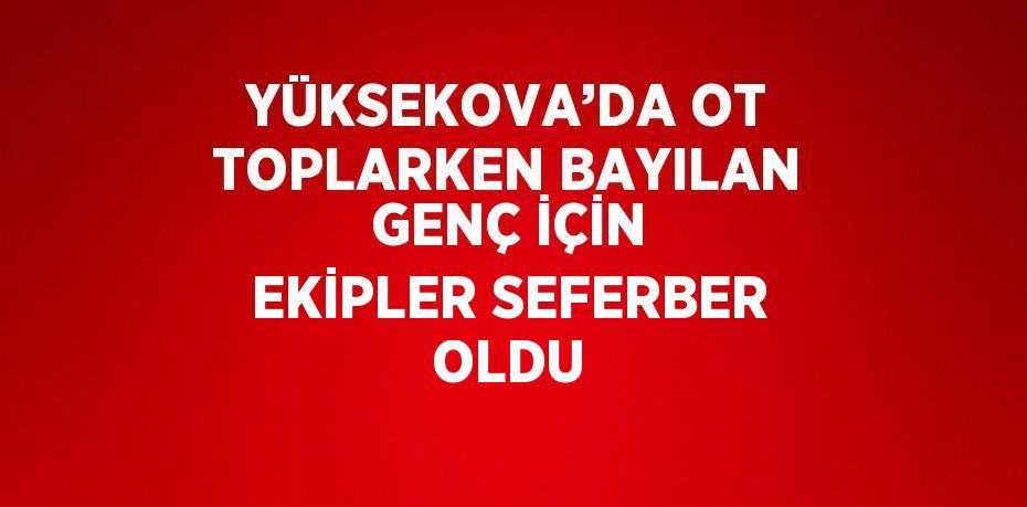 YÜKSEKOVA’DA OT TOPLARKEN BAYILAN GENÇ İÇİN EKİPLER SEFERBER OLDU