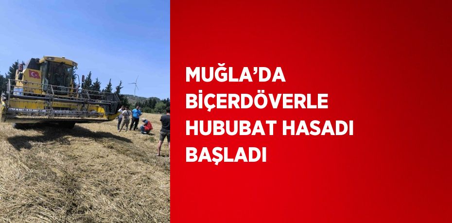 MUĞLA’DA BİÇERDÖVERLE HUBUBAT HASADI BAŞLADI