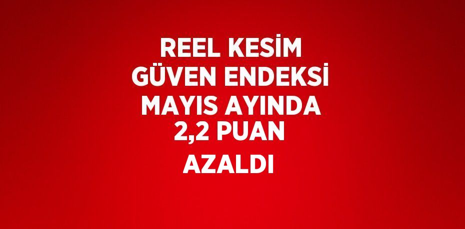 REEL KESİM GÜVEN ENDEKSİ MAYIS AYINDA 2,2 PUAN AZALDI