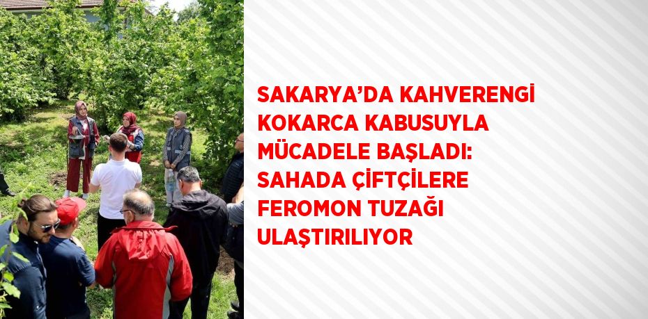 SAKARYA’DA KAHVERENGİ KOKARCA KABUSUYLA MÜCADELE BAŞLADI: SAHADA ÇİFTÇİLERE FEROMON TUZAĞI ULAŞTIRILIYOR