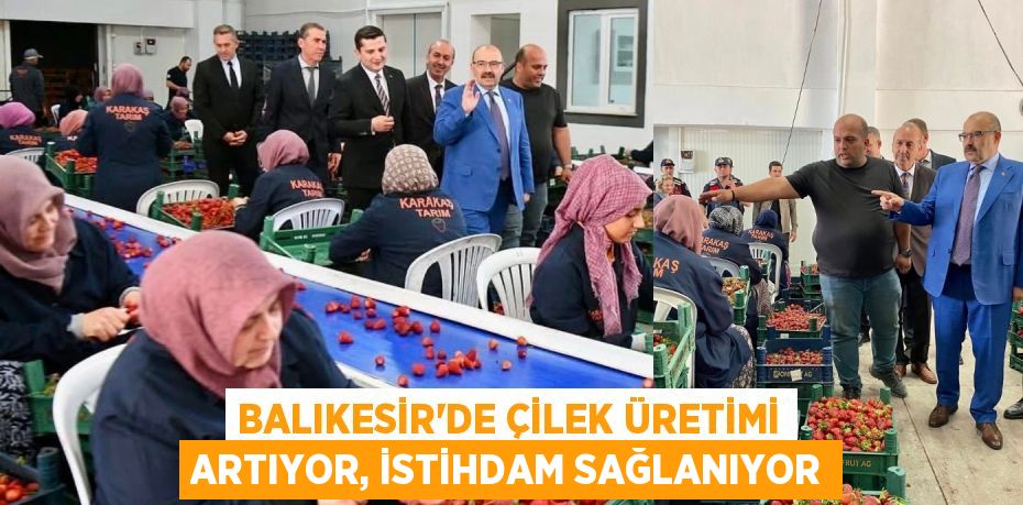 BALIKESİR'DE ÇİLEK ÜRETİMİ ARTIYOR, İSTİHDAM SAĞLANIYOR