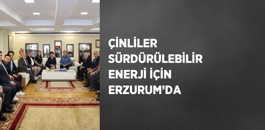 ÇİNLİLER SÜRDÜRÜLEBİLİR ENERJİ İÇİN ERZURUM’DA