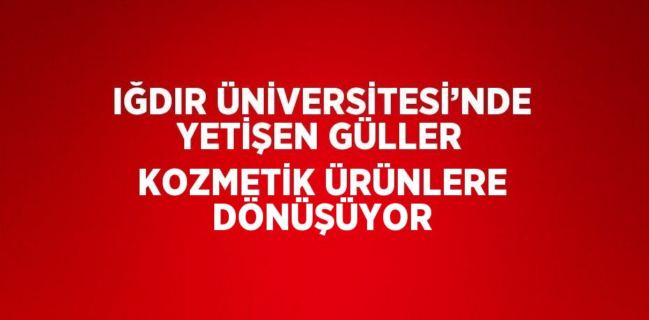 IĞDIR ÜNİVERSİTESİ’NDE YETİŞEN GÜLLER KOZMETİK ÜRÜNLERE DÖNÜŞÜYOR