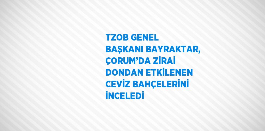 TZOB GENEL BAŞKANI BAYRAKTAR, ÇORUM’DA ZİRAİ DONDAN ETKİLENEN CEVİZ BAHÇELERİNİ İNCELEDİ