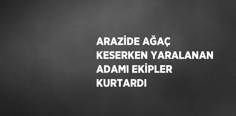 ARAZİDE AĞAÇ KESERKEN YARALANAN ADAMI EKİPLER KURTARDI