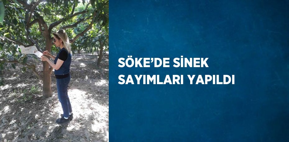 SÖKE’DE SİNEK SAYIMLARI YAPILDI