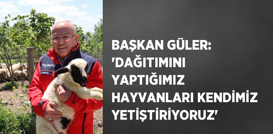 BAŞKAN GÜLER: 'DAĞITIMINI YAPTIĞIMIZ HAYVANLARI KENDİMİZ YETİŞTİRİYORUZ'