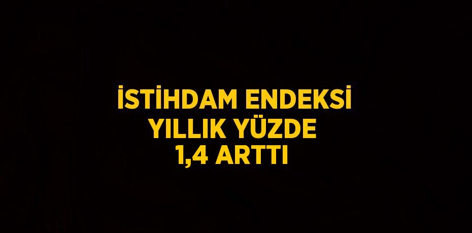 İSTİHDAM ENDEKSİ YILLIK YÜZDE 1,4 ARTTI