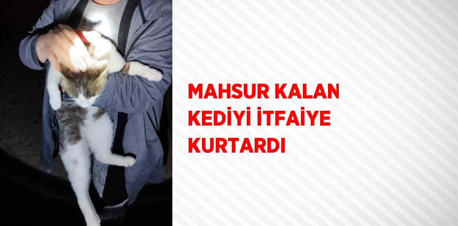 MAHSUR KALAN KEDİYİ İTFAİYE KURTARDI