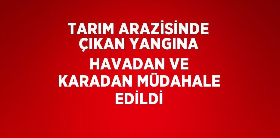 TARIM ARAZİSİNDE ÇIKAN YANGINA HAVADAN VE KARADAN MÜDAHALE EDİLDİ