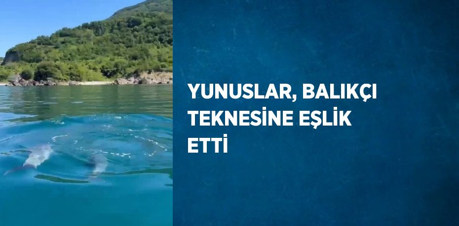 YUNUSLAR, BALIKÇI TEKNESİNE EŞLİK ETTİ