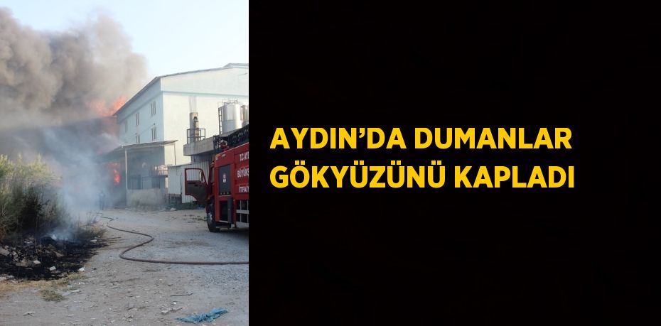 AYDIN’DA DUMANLAR GÖKYÜZÜNÜ KAPLADI