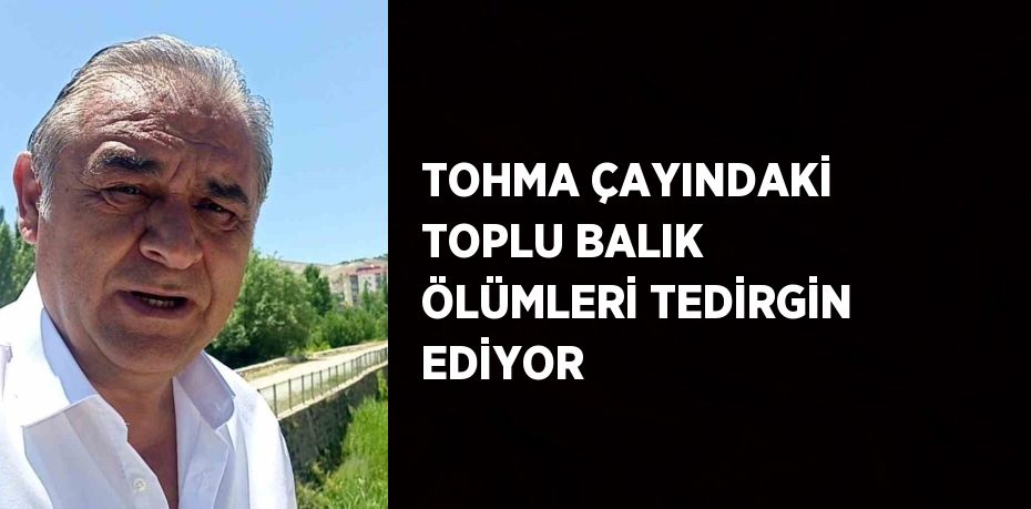 TOHMA ÇAYINDAKİ TOPLU BALIK ÖLÜMLERİ TEDİRGİN EDİYOR