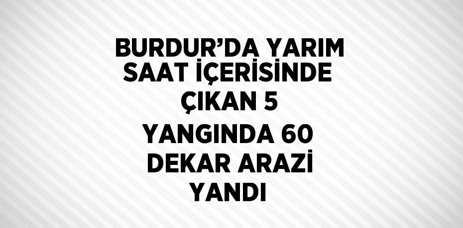 BURDUR’DA YARIM SAAT İÇERİSİNDE ÇIKAN 5 YANGINDA 60 DEKAR ARAZİ YANDI