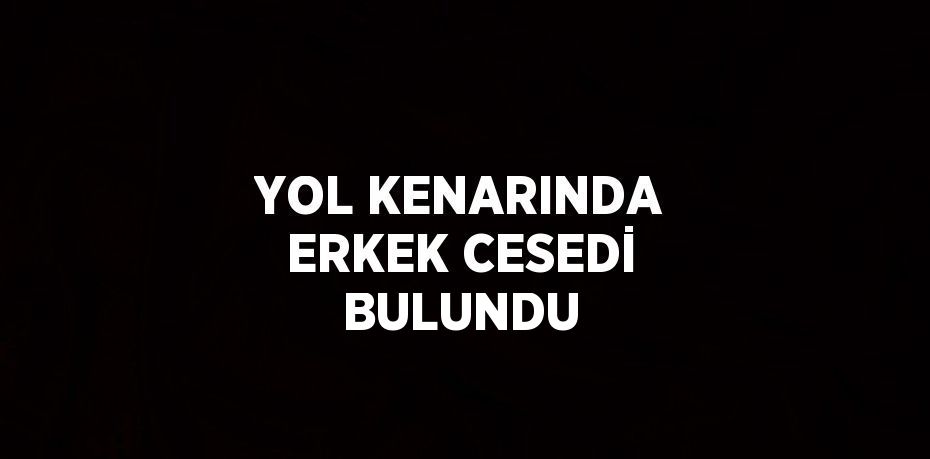 YOL KENARINDA ERKEK CESEDİ BULUNDU