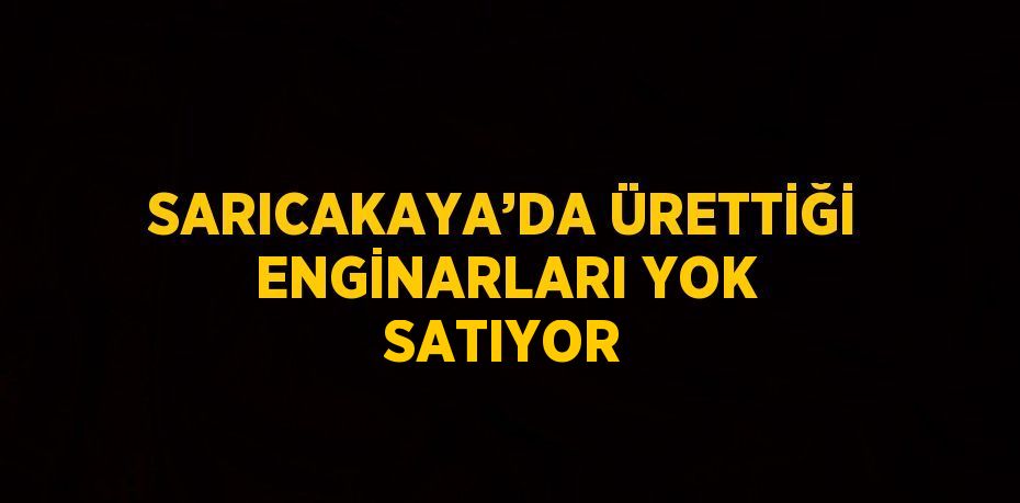 SARICAKAYA’DA ÜRETTİĞİ ENGİNARLARI YOK SATIYOR